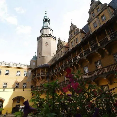 Zamek Ksiazecy W Olesnicy מלון *