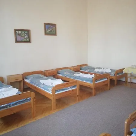 Zamek Ksiazecy W Olesnicy *