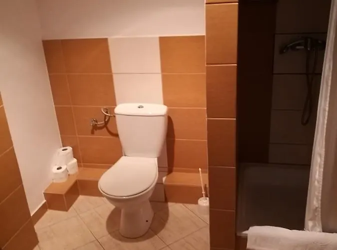 Zamek Ksiazecy W Olesnicy * Oleśnica