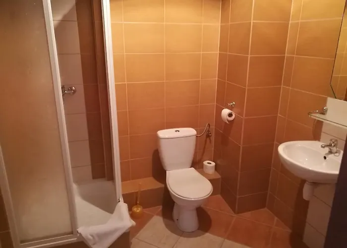 Zamek Ksiazecy W Olesnicy * Oleśnica