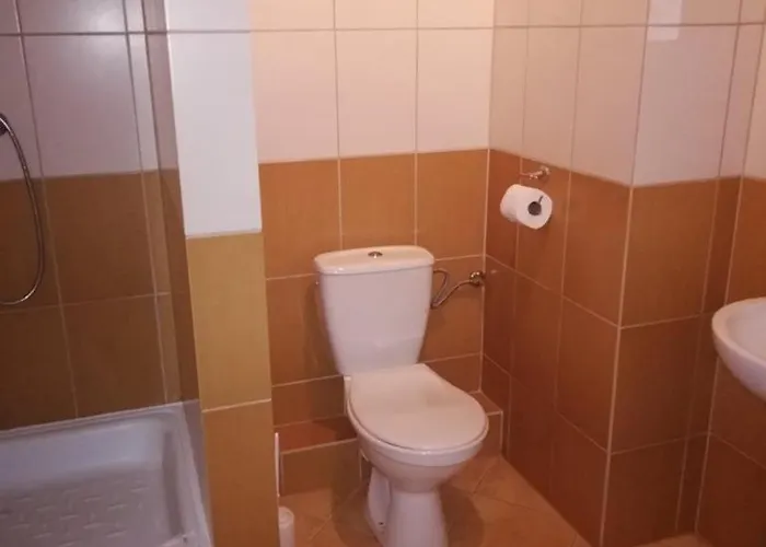 Zamek Ksiazecy W Olesnicy ホテル Oleśnica