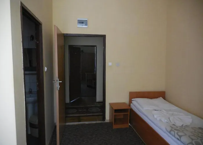 Zamek Ksiazecy W Olesnicy *