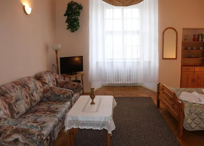 Zamek Ksiazecy W Olesnicy *