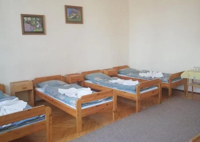 Zamek Ksiazecy W Olesnicy *