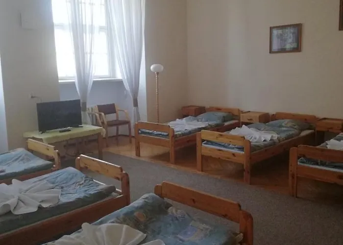 Zamek Ksiazecy W Olesnicy