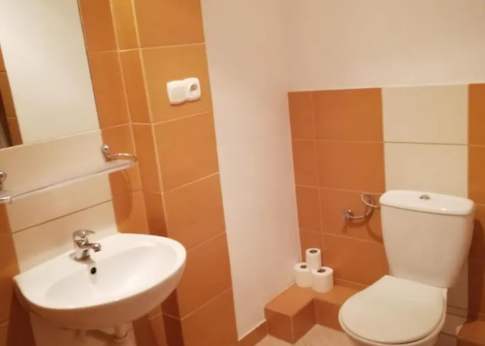 Zamek Ksiazecy W Olesnicy Oleśnica