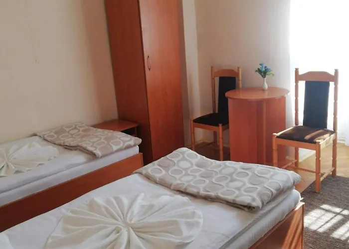 Zamek Ksiazecy W Olesnicy *