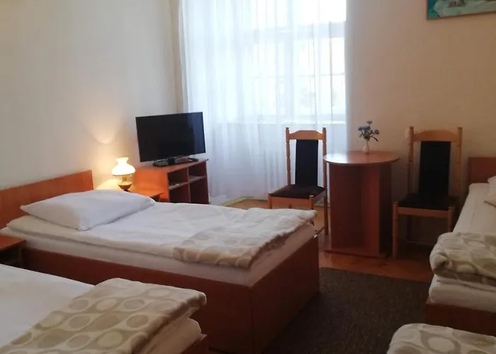 Zamek Ksiazecy W Olesnicy